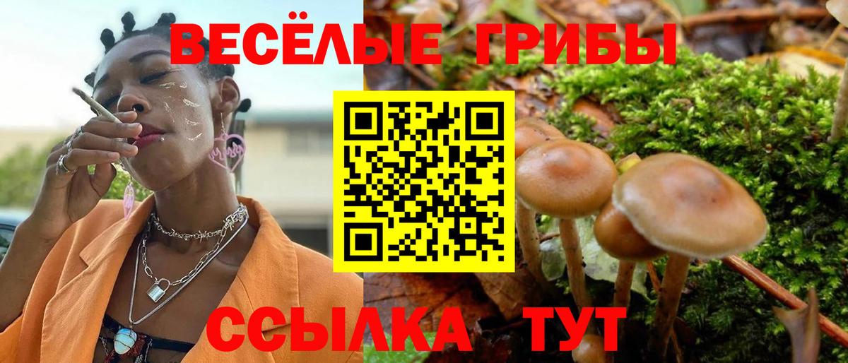 Галлюциногенные грибы Magic Shrooms  как найти   Нурлат  Галлюциногенные грибы Cubensis  Вход с VPN 